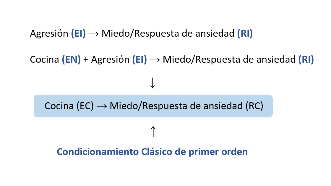 Diagrama explicativo del aprendizaje de una respuesta emocional mediante condicionamiento clásico.